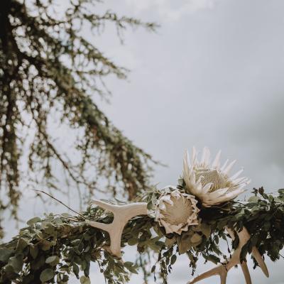 Décoration arche sauvage