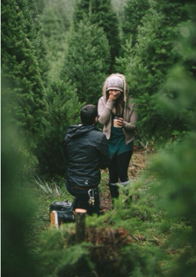 Demande en mariage dans les bois